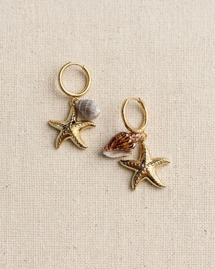 PANTALLA ESTRELLA MAR Y CARACOL